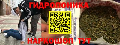 шишки Апрелевка