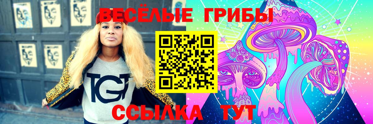 Псилоцибиновые грибы Psilocybine cubensis  Вход с VPN  Галлюциногенные грибы мухоморы  Бийск 
