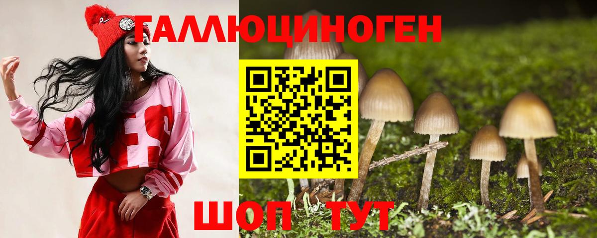 Галлюциногенные грибы прущие грибы Бийск